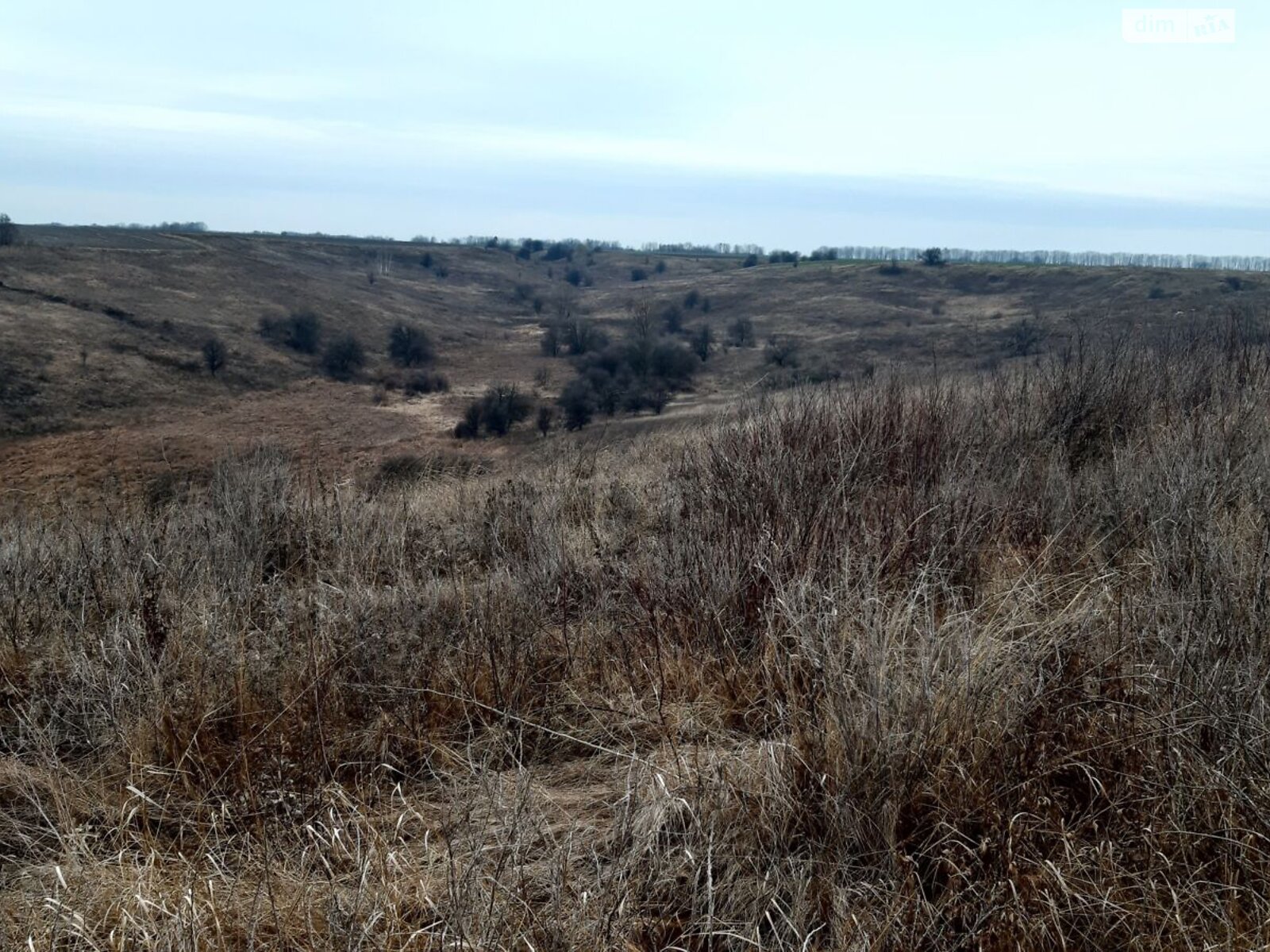 Земельный участок сельскохозяйственного назначения в Великой Бугаевке, площадь 1.905 Га фото 1