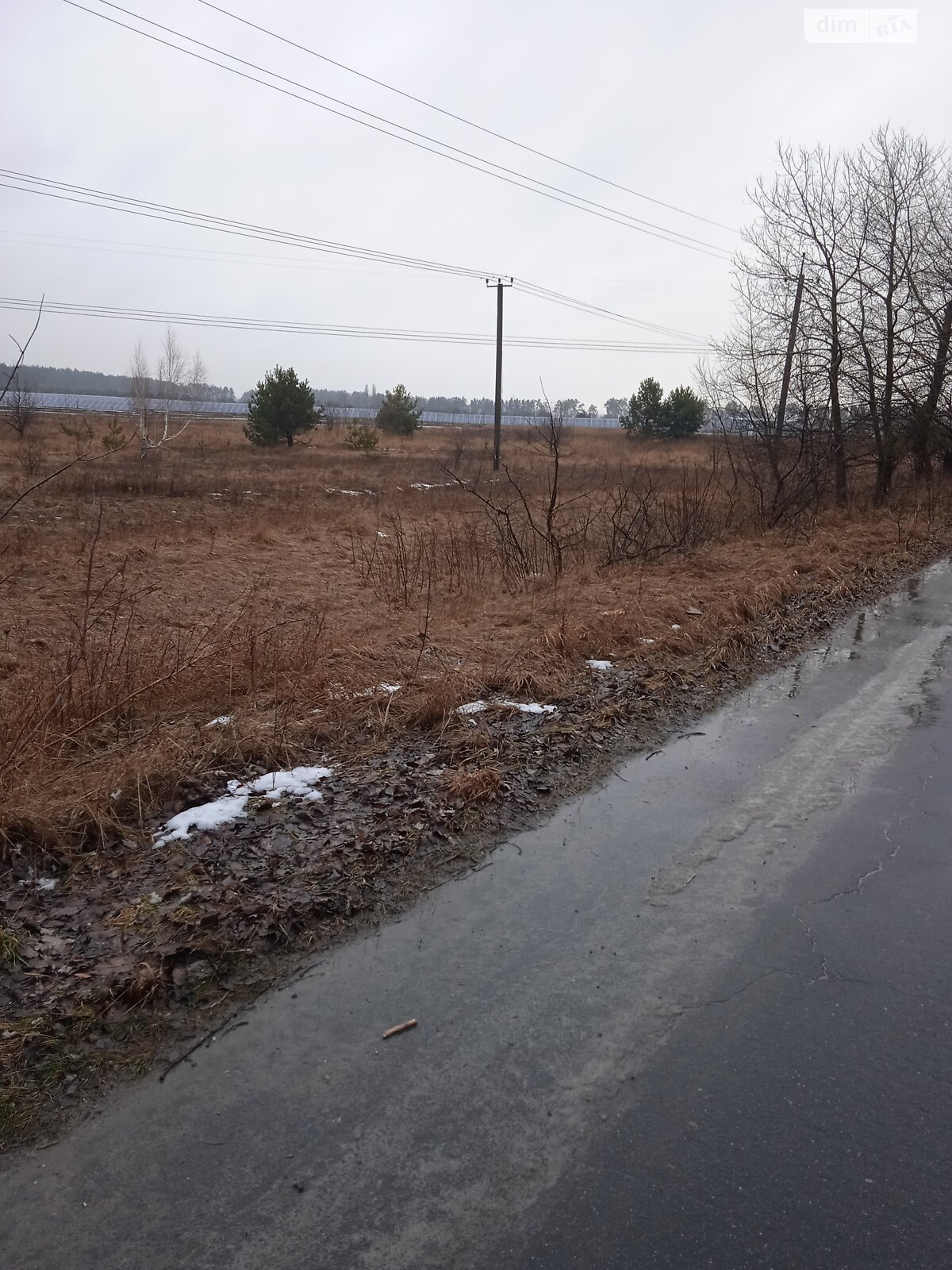 Земельна ділянка сільськогосподарського призначення в Великій Димерці, площа 2 Га фото 1 Земельна ділянка сільськогосподарського призначення в Великій Димерці, площа 2 Га фото 1