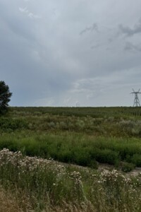Земельна ділянка сільськогосподарського призначення в Великій Димерці, площа 2.3 Га фото 2
