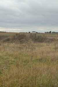 Земельный участок сельскохозяйственного назначения в Великой Димерке, площадь 50 соток фото 2