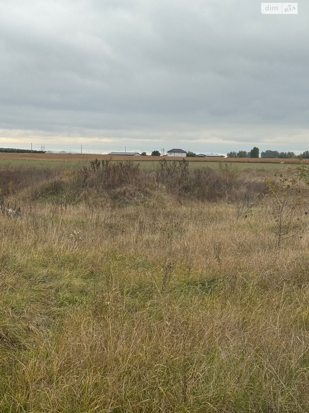 Земельный участок сельскохозяйственного назначения в Великой Димерке, площадь 50 соток фото 1