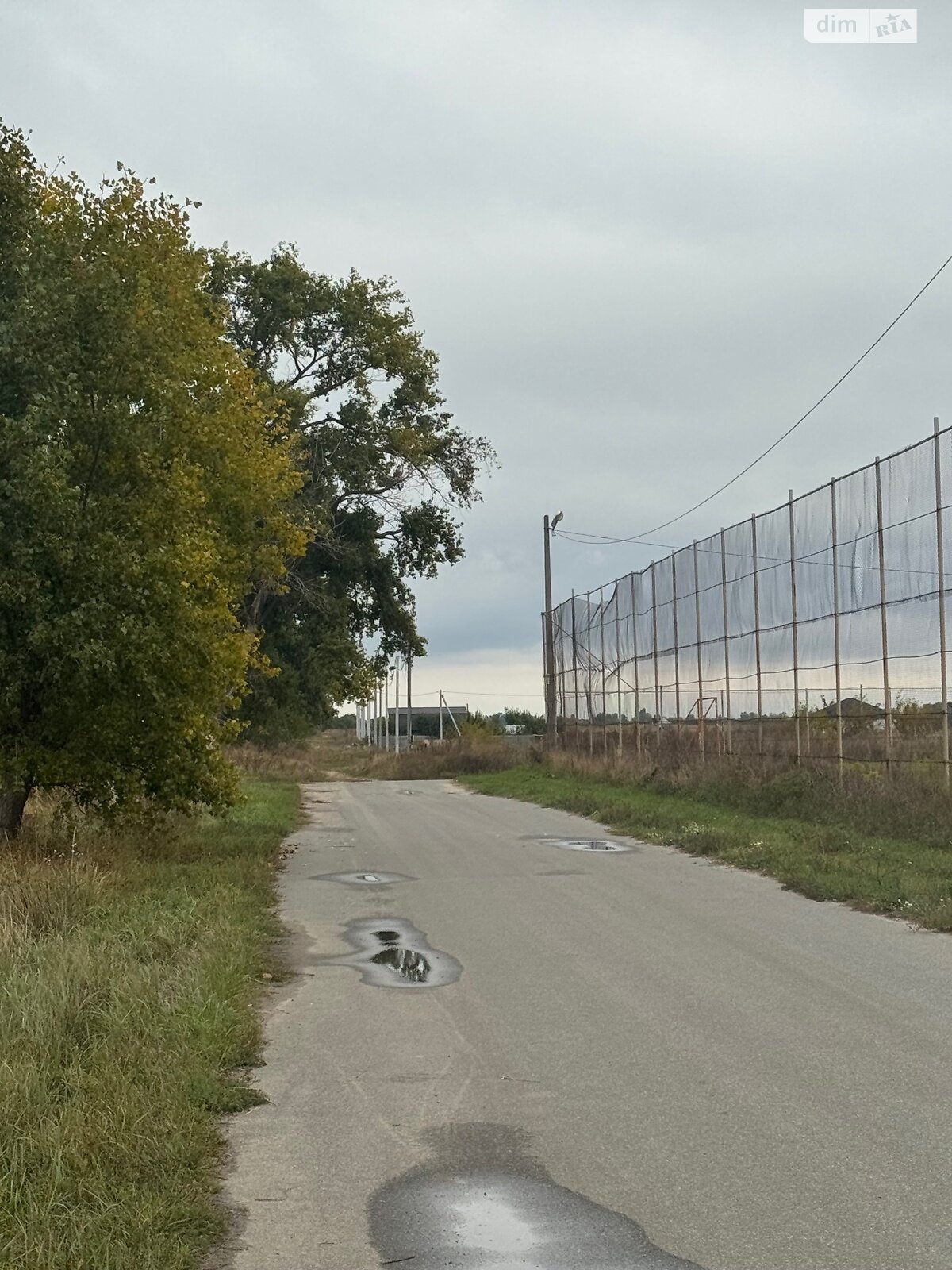 Земельный участок сельскохозяйственного назначения в Великой Димерке, площадь 50 соток фото 1