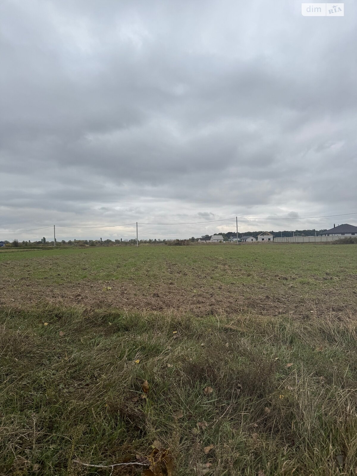 Земельный участок сельскохозяйственного назначения в Великой Димерке, площадь 50 соток фото 1