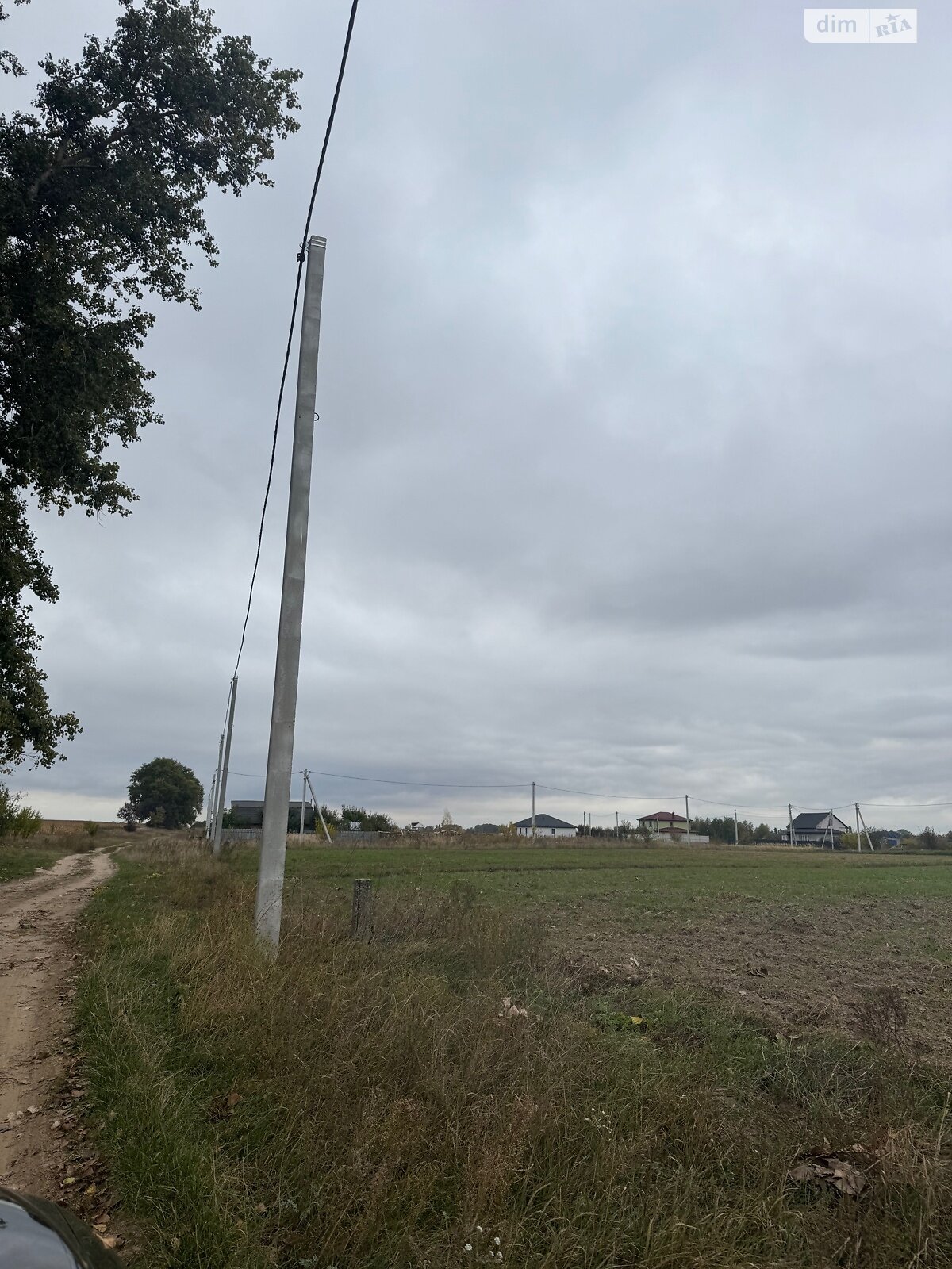 Земельный участок сельскохозяйственного назначения в Великой Димерке, площадь 50 соток фото 1