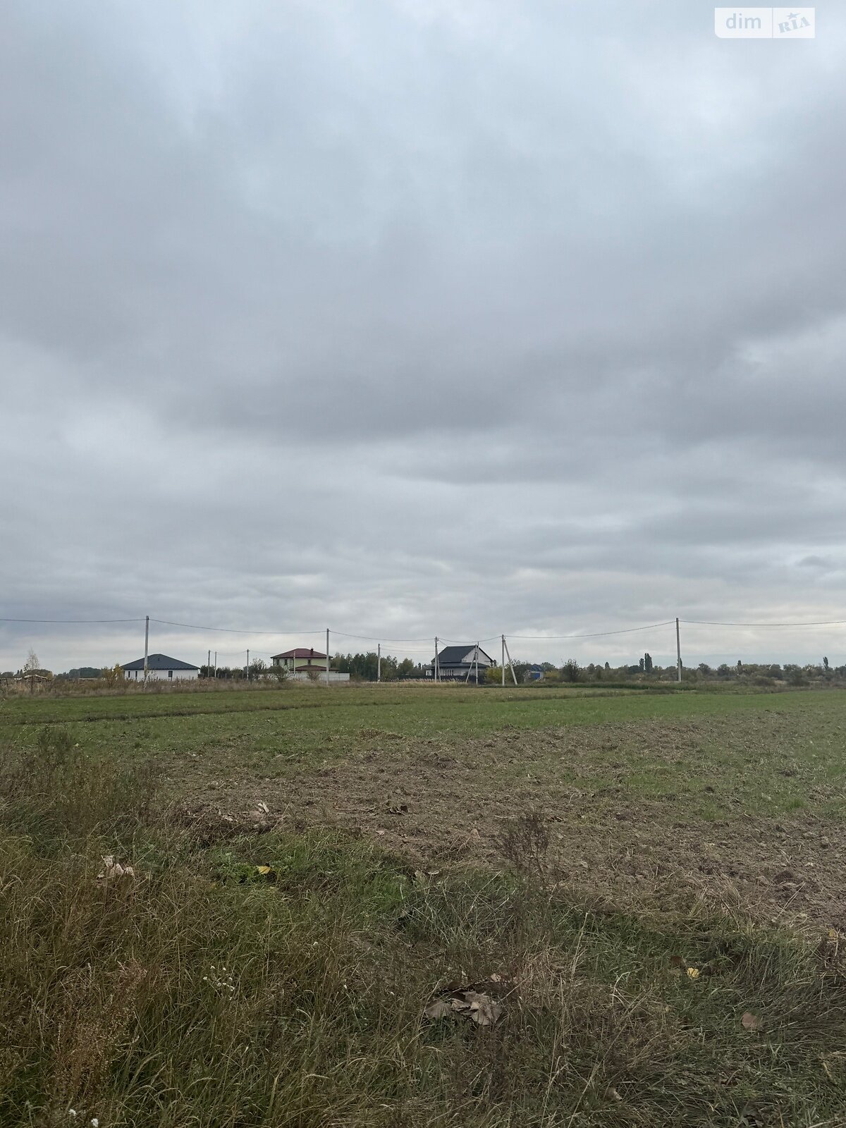 Земельный участок сельскохозяйственного назначения в Великой Димерке, площадь 50 соток фото 1