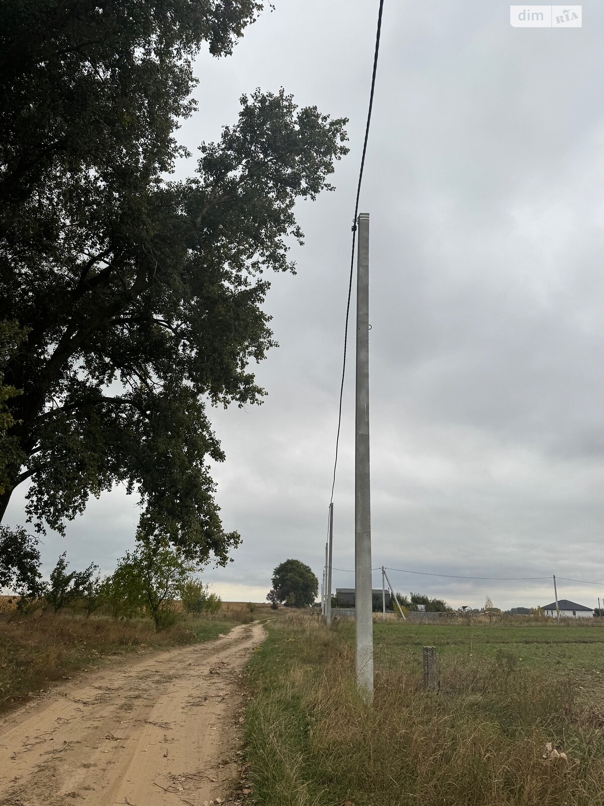 Земельный участок сельскохозяйственного назначения в Великой Димерке, площадь 50 соток фото 1
