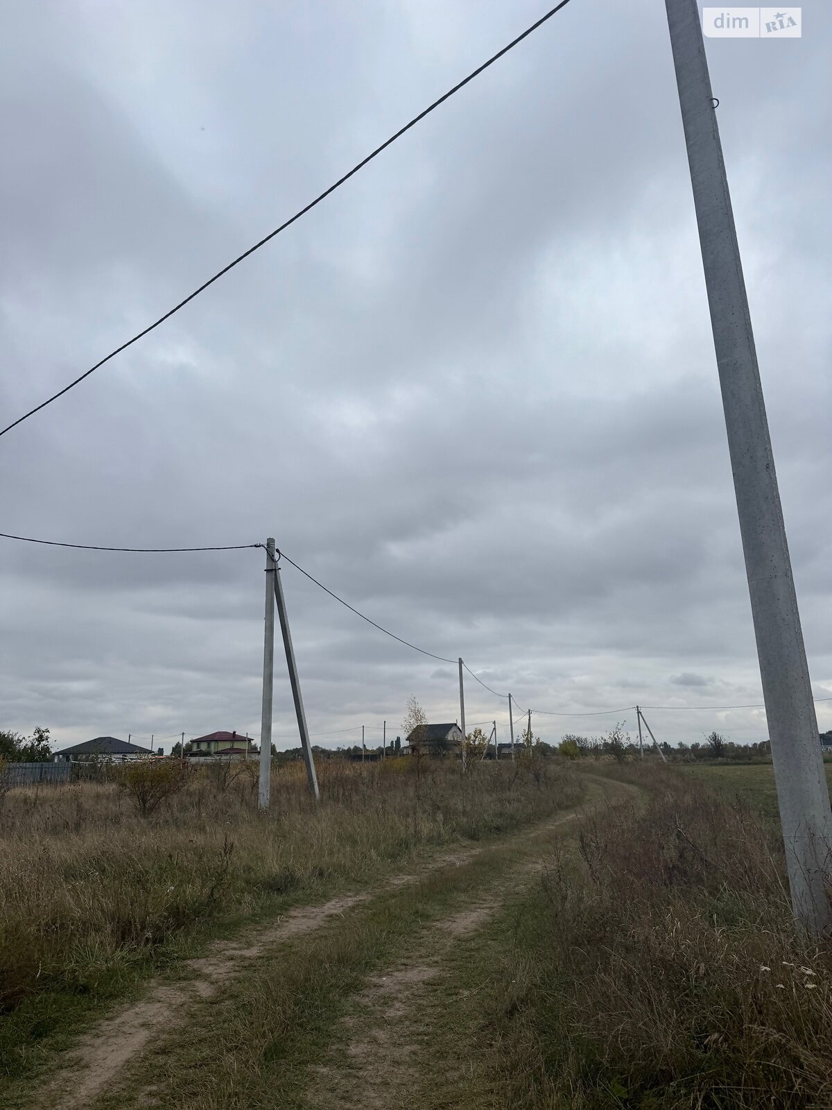 Земельный участок сельскохозяйственного назначения в Великой Димерке, площадь 50 соток фото 1