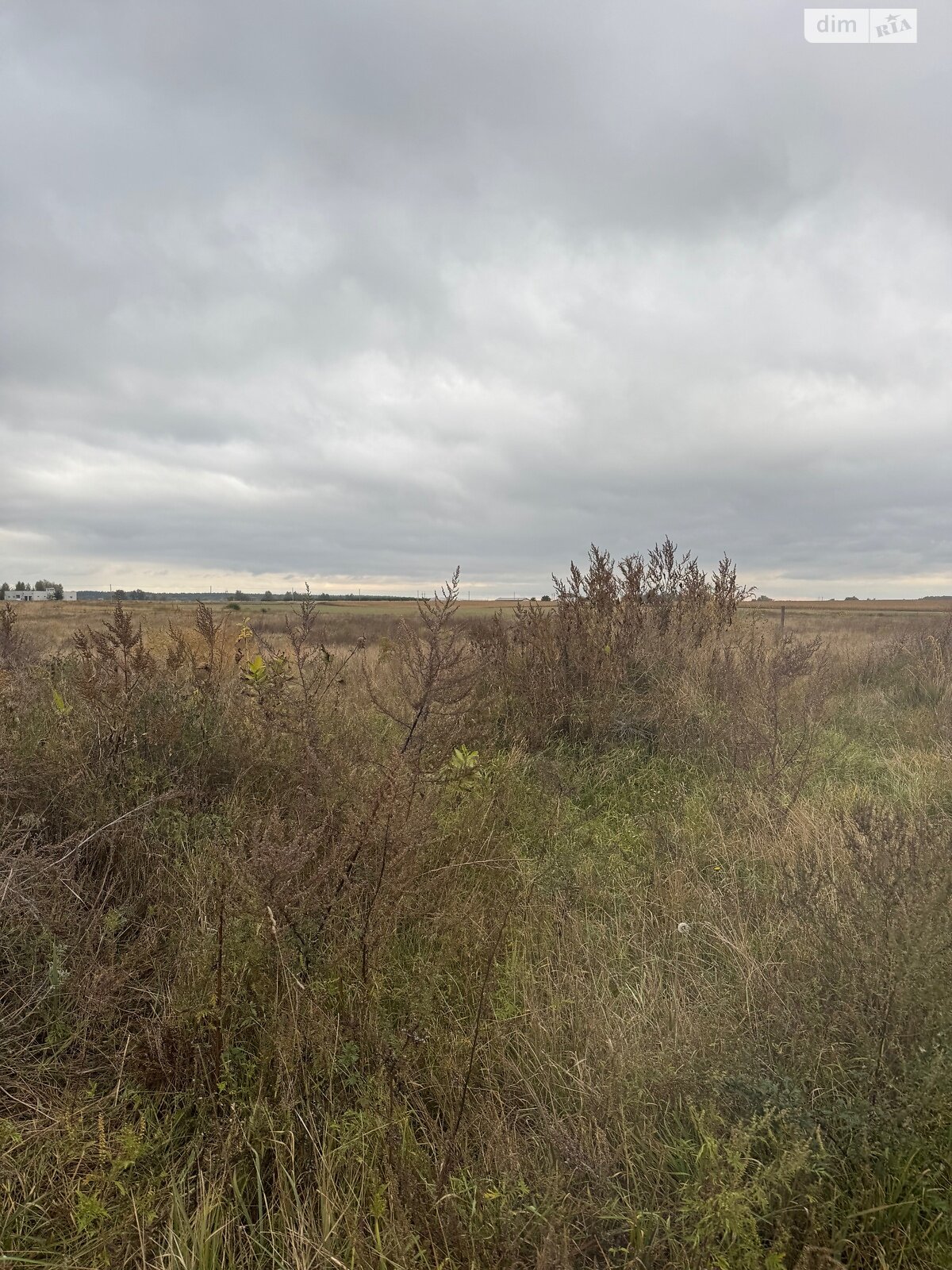 Земельный участок сельскохозяйственного назначения в Великой Димерке, площадь 50 соток фото 1