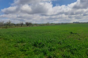 Земельна ділянка сільськогосподарського призначення в Великій Доброні, площа 260 соток фото 2