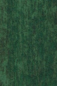 Земельный участок сельскохозяйственного назначения в Великой Северинке, площадь 5.0105 Га фото 1 Земельный участок сельскохозяйственного назначения в Великой Северинке, площадь 5.0105 Га фото 1