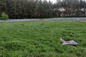 Земельный участок сельскохозяйственного назначения в Великой Солтановке, площадь 28 соток фото 2