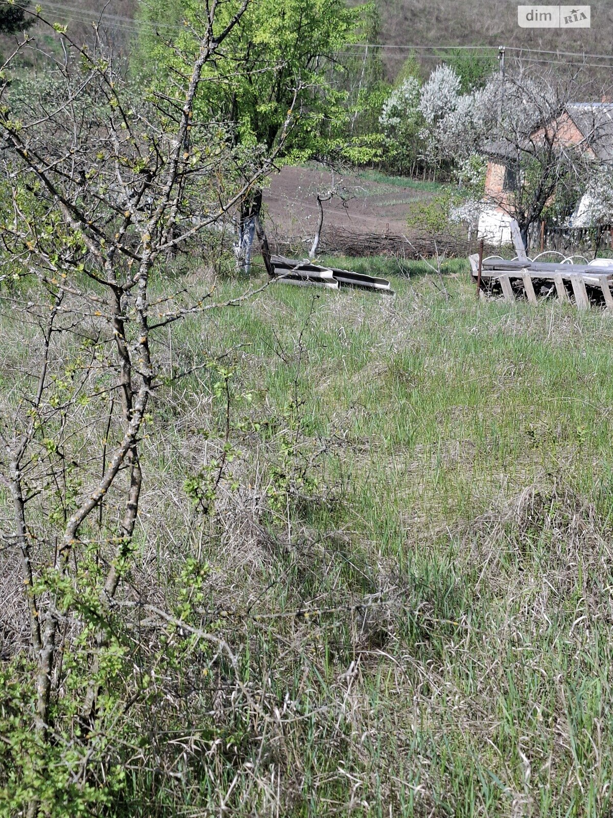 Земельна ділянка сільськогосподарського призначення в Великих Бірок, площа 5.78 сотки фото 1 Земельна ділянка сільськогосподарського призначення в Великих Бірок, площа 5.78 сотки фото 1