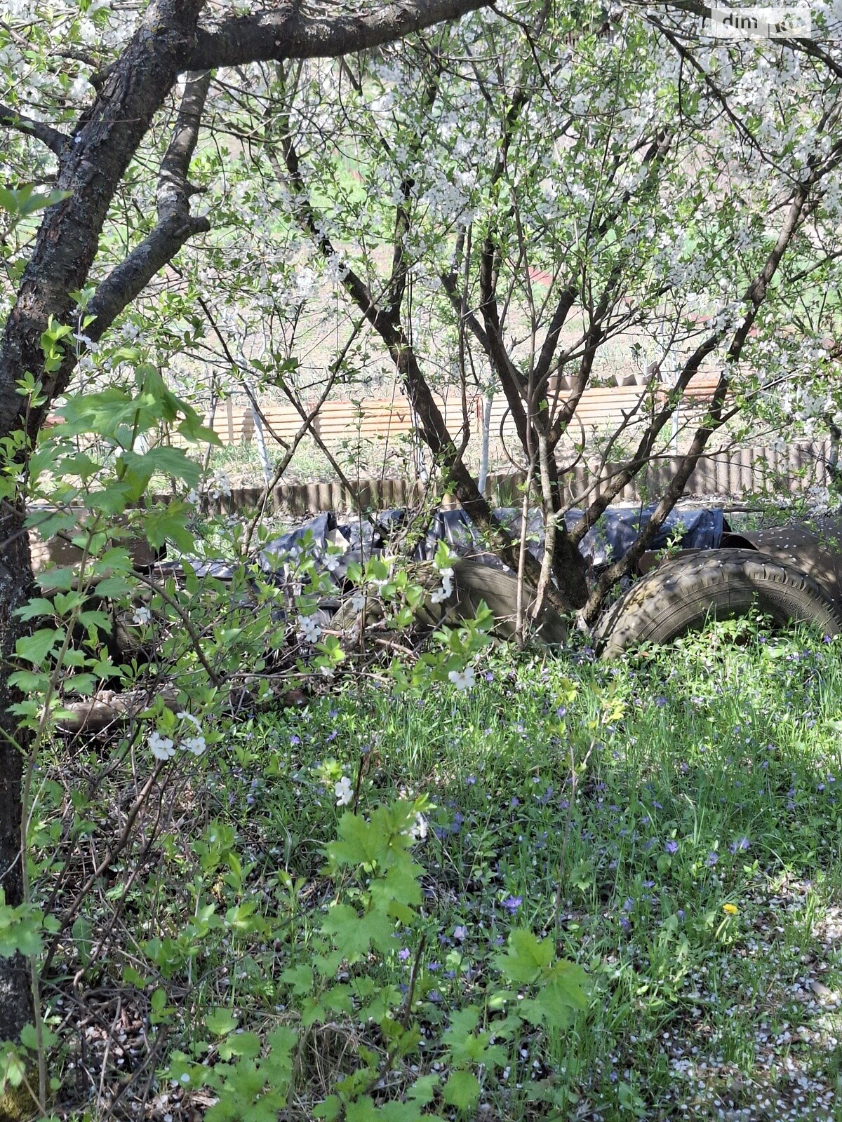 Земельна ділянка сільськогосподарського призначення в Великих Бірок, площа 5.78 сотки фото 1 Земельна ділянка сільськогосподарського призначення в Великих Бірок, площа 5.78 сотки фото 1