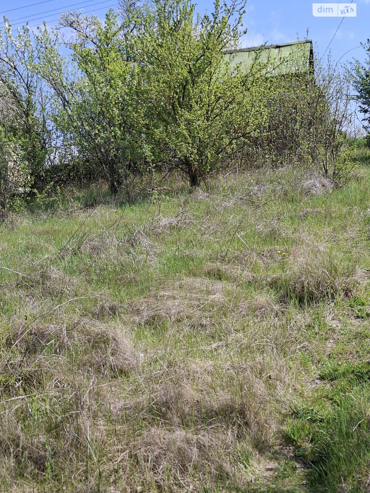 Земельна ділянка сільськогосподарського призначення в Великих Бірок, площа 5.78 сотки фото 1 Земельна ділянка сільськогосподарського призначення в Великих Бірок, площа 5.78 сотки фото 1