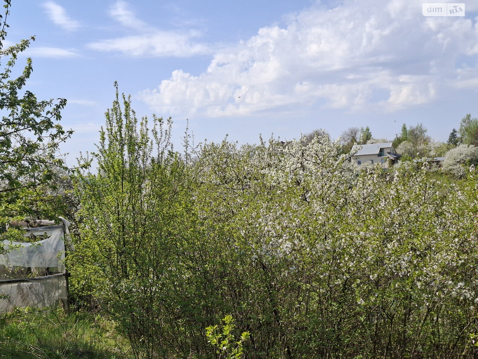 Земельна ділянка сільськогосподарського призначення в Великих Бірок, площа 5.78 сотки фото 1 Земельна ділянка сільськогосподарського призначення в Великих Бірок, площа 5.78 сотки фото 1