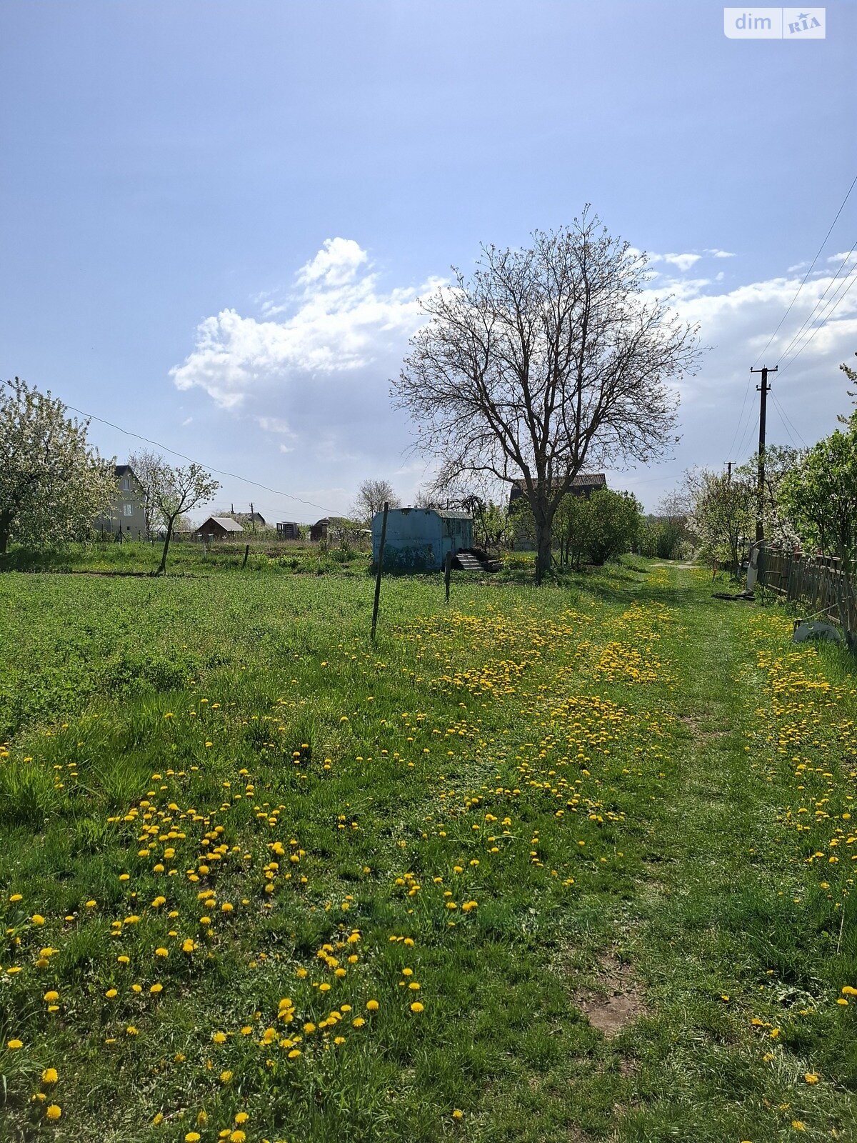 Земельна ділянка сільськогосподарського призначення в Великих Бірок, площа 5.78 сотки фото 1 Земельна ділянка сільськогосподарського призначення в Великих Бірок, площа 5.78 сотки фото 1