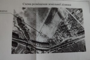 Земельна ділянка сільськогосподарського призначення в Великих Бірок, площа 0.1 Га фото 1