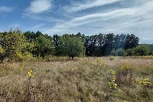 Земельный участок сельскохозяйственного назначения в Великих Дмитровичах, площадь 12 соток фото 2