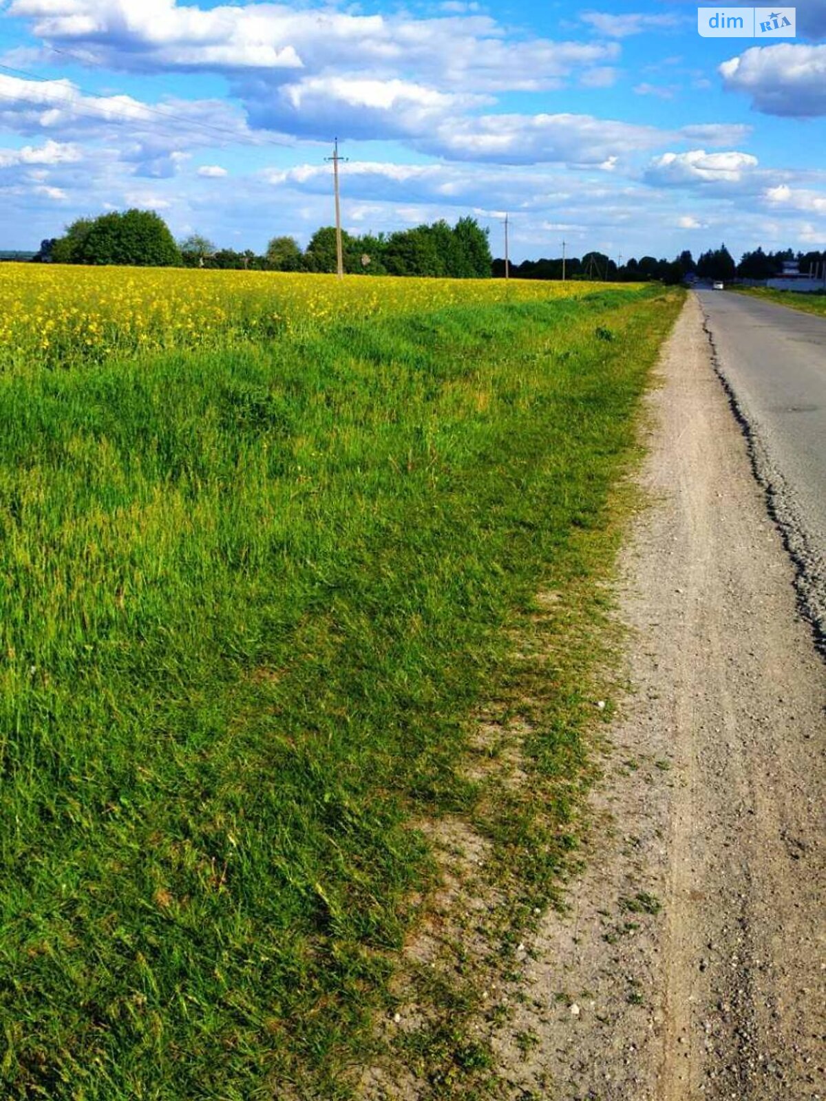 Земельна ділянка сільськогосподарського призначення в Великих Гаях, площа 26 соток фото 1