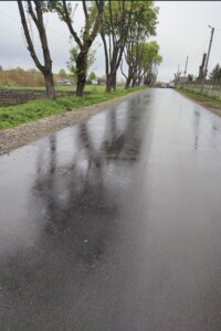 Земельна ділянка сільськогосподарського призначення в Великих Гаях, площа 19 соток фото 2