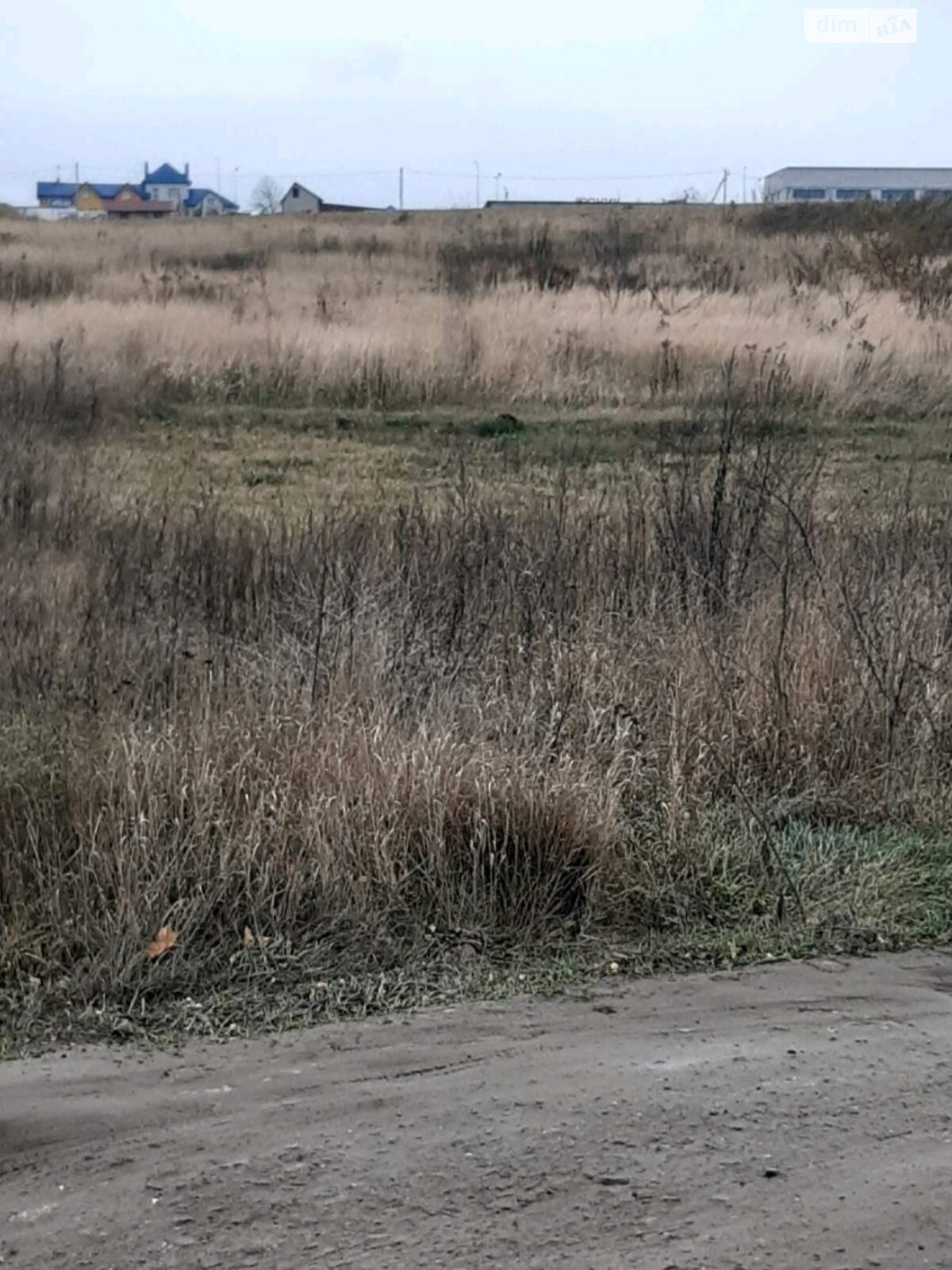 Земельна ділянка сільськогосподарського призначення в Великих Гаях, площа 48.25 сотки фото 1