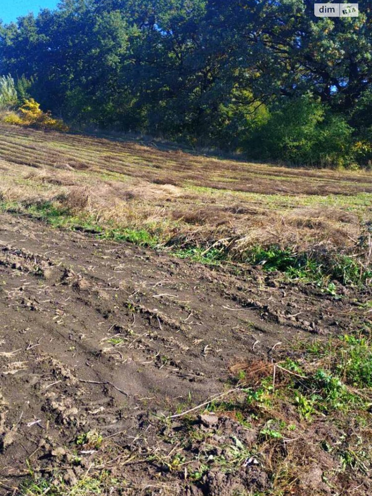 Земельна ділянка сільськогосподарського призначення в Великих Гаях, площа 54 сотки фото 1