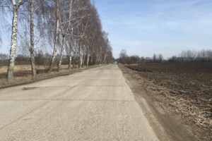 Земельна ділянка сільськогосподарського призначення в Великі Крушлинці, площа 1.58 Га фото 3
