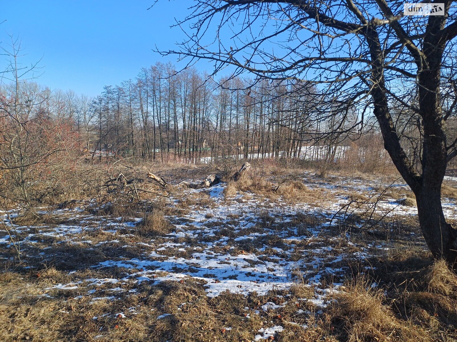 Земельна ділянка сільськогосподарського призначення в Великі Крушлинці, площа 10 соток фото 1 Земельна ділянка сільськогосподарського призначення в Великі Крушлинці, площа 10 соток фото 1
