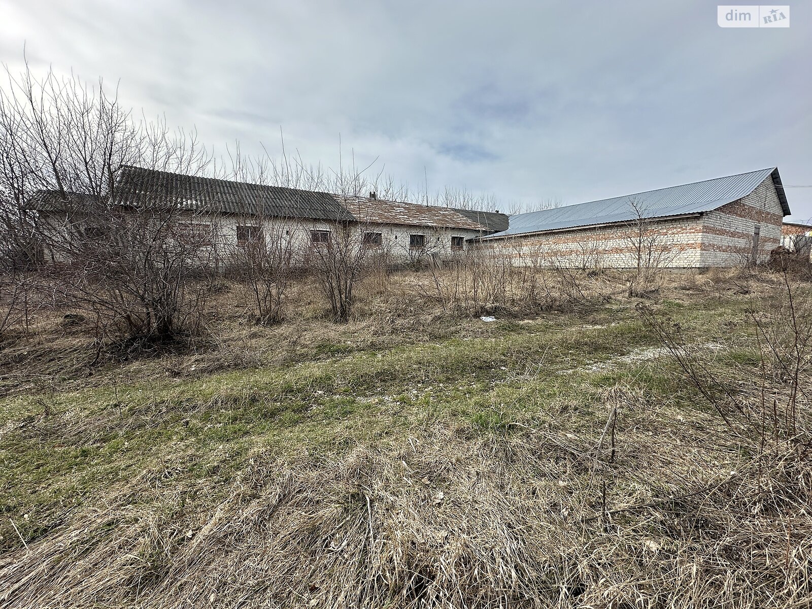 Земельна ділянка сільськогосподарського призначення в Великому Глибочку, площа 171 сотка фото 1