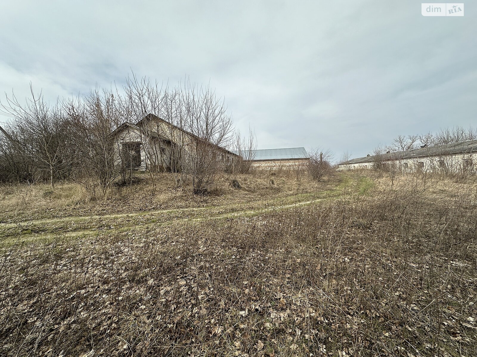 Земельна ділянка сільськогосподарського призначення в Великому Глибочку, площа 171 сотка фото 1