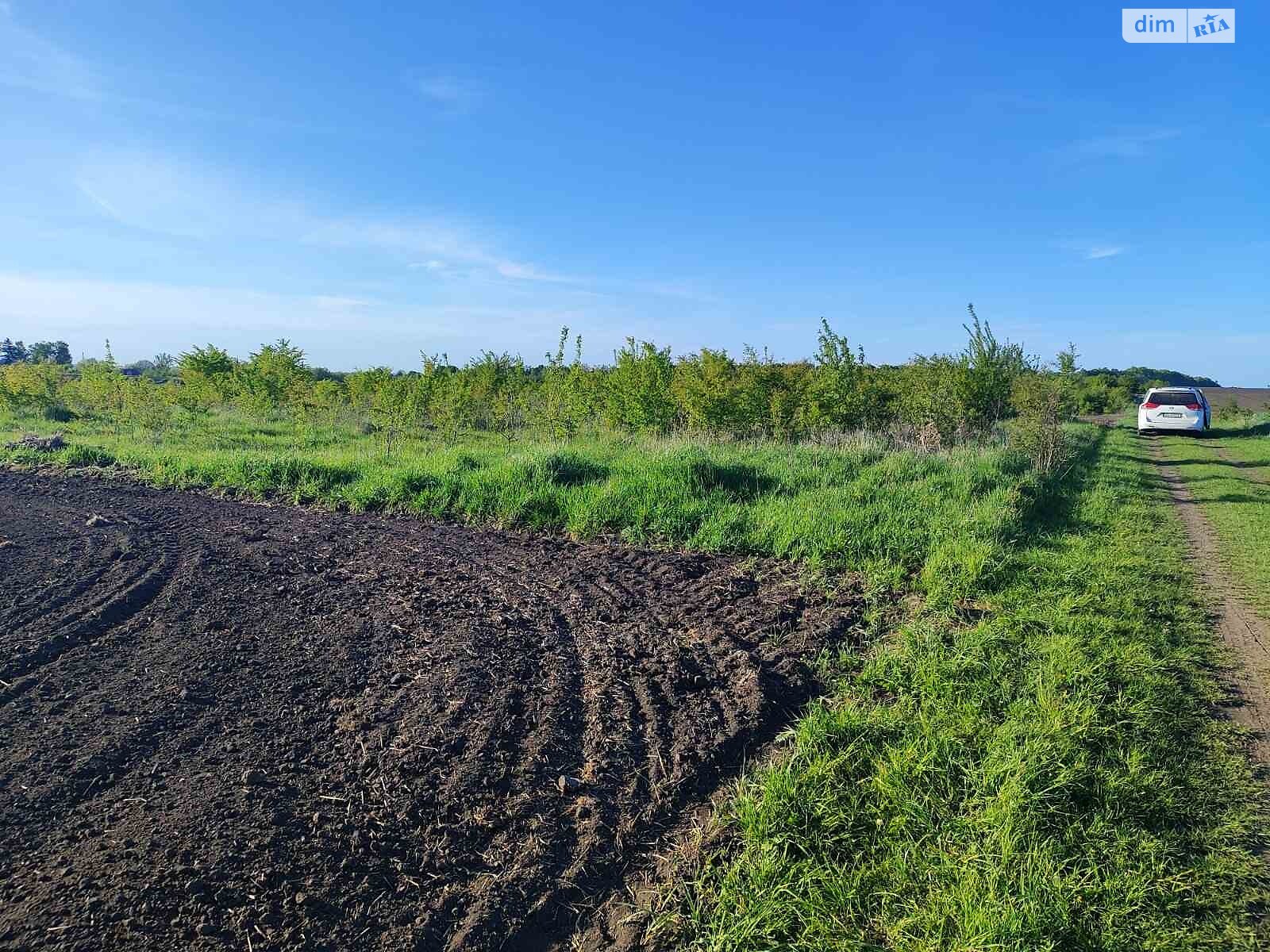 Земельна ділянка сільськогосподарського призначення в Великому Ходачкове, площа 12 соток фото 1 Земельна ділянка сільськогосподарського призначення в Великому Ходачкове, площа 12 соток фото 1