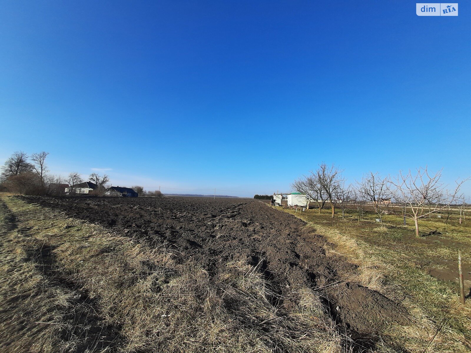 Земельный участок сельскохозяйственного назначения в Великом Ходачкове, площадь 1 Га фото 1
