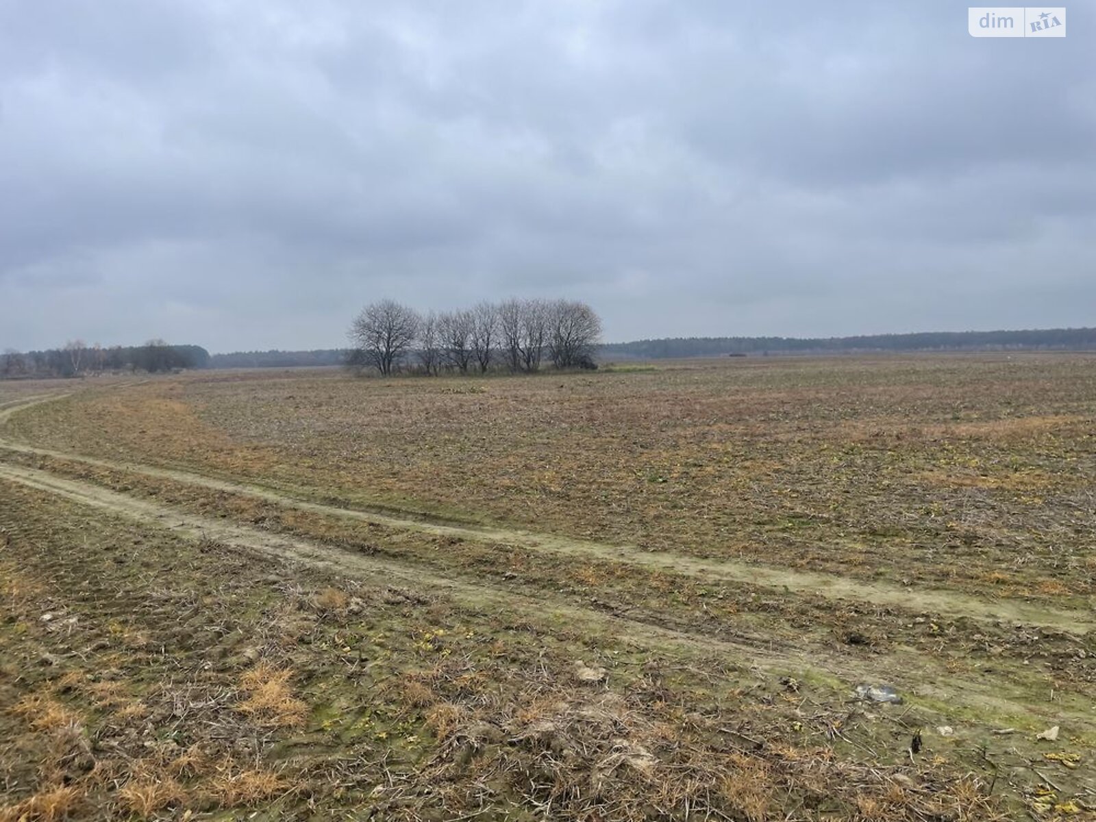 Земельна ділянка сільськогосподарського призначення в Великому Любині, площа 200 соток фото 1