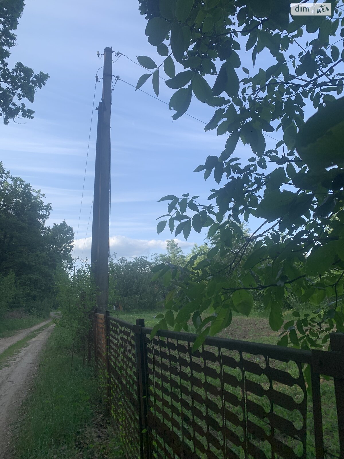 Земельна ділянка сільськогосподарського призначення в Великому Тростянці, площа 7 соток фото 1 Земельна ділянка сільськогосподарського призначення в Великому Тростянці, площа 7 соток фото 1