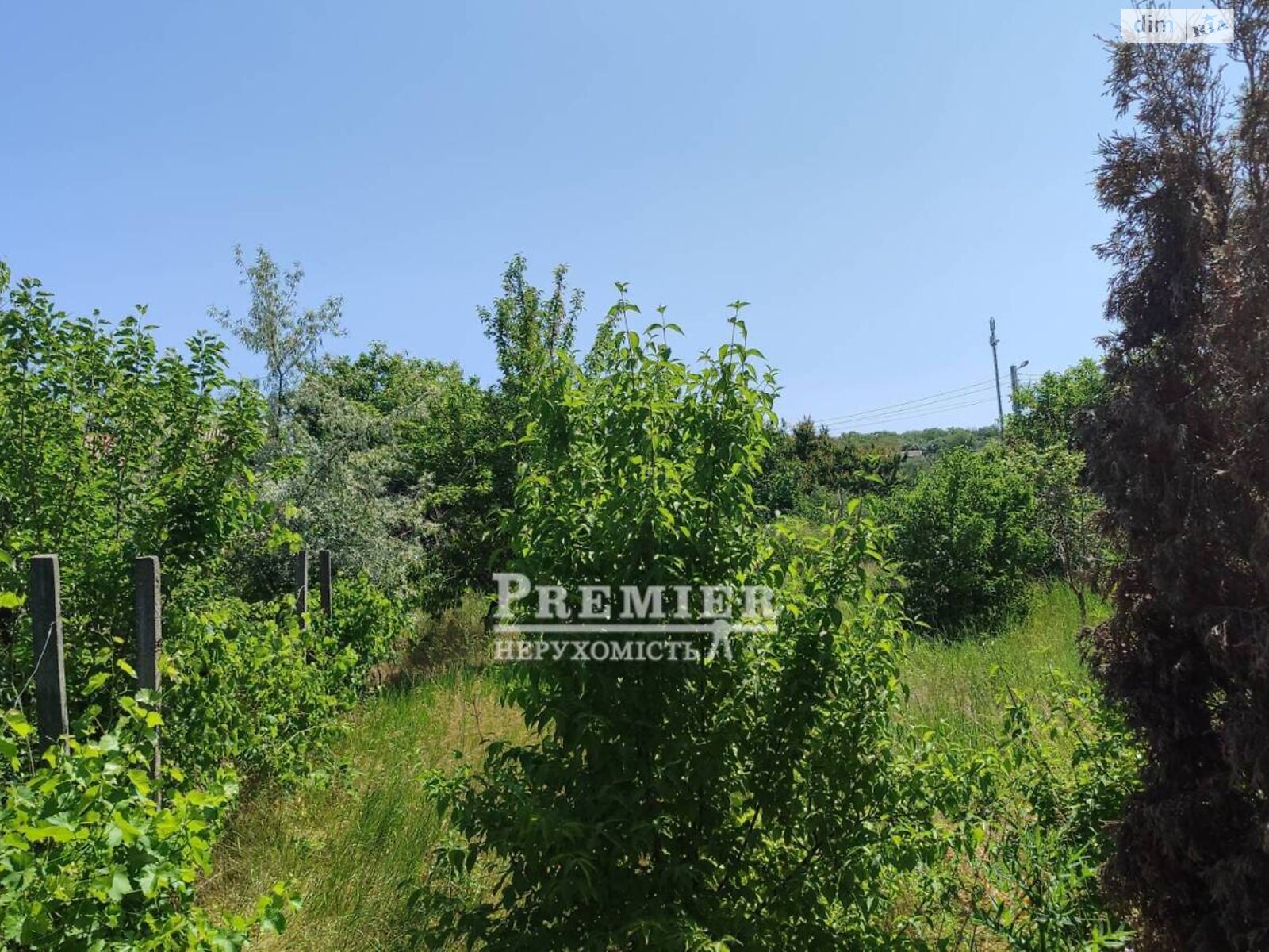 Земельна ділянка сільськогосподарського призначення в Великодолинському, площа 4 сотки фото 1 Земельна ділянка сільськогосподарського призначення в Великодолинському, площа 4 сотки фото 1