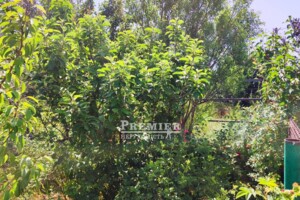 Земельна ділянка сільськогосподарського призначення в Великодолинському, площа 4 сотки фото 2