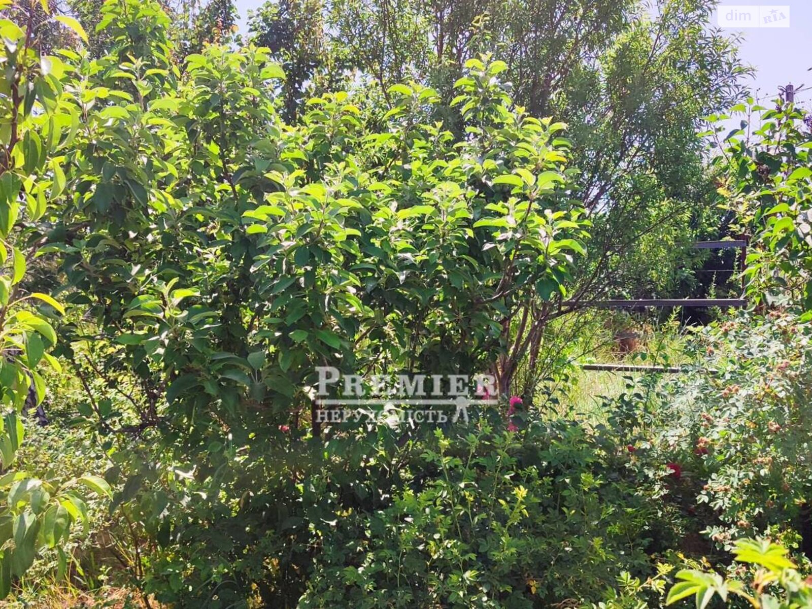 Земельна ділянка сільськогосподарського призначення в Великодолинському, площа 4 сотки фото 1 Земельна ділянка сільськогосподарського призначення в Великодолинському, площа 4 сотки фото 1