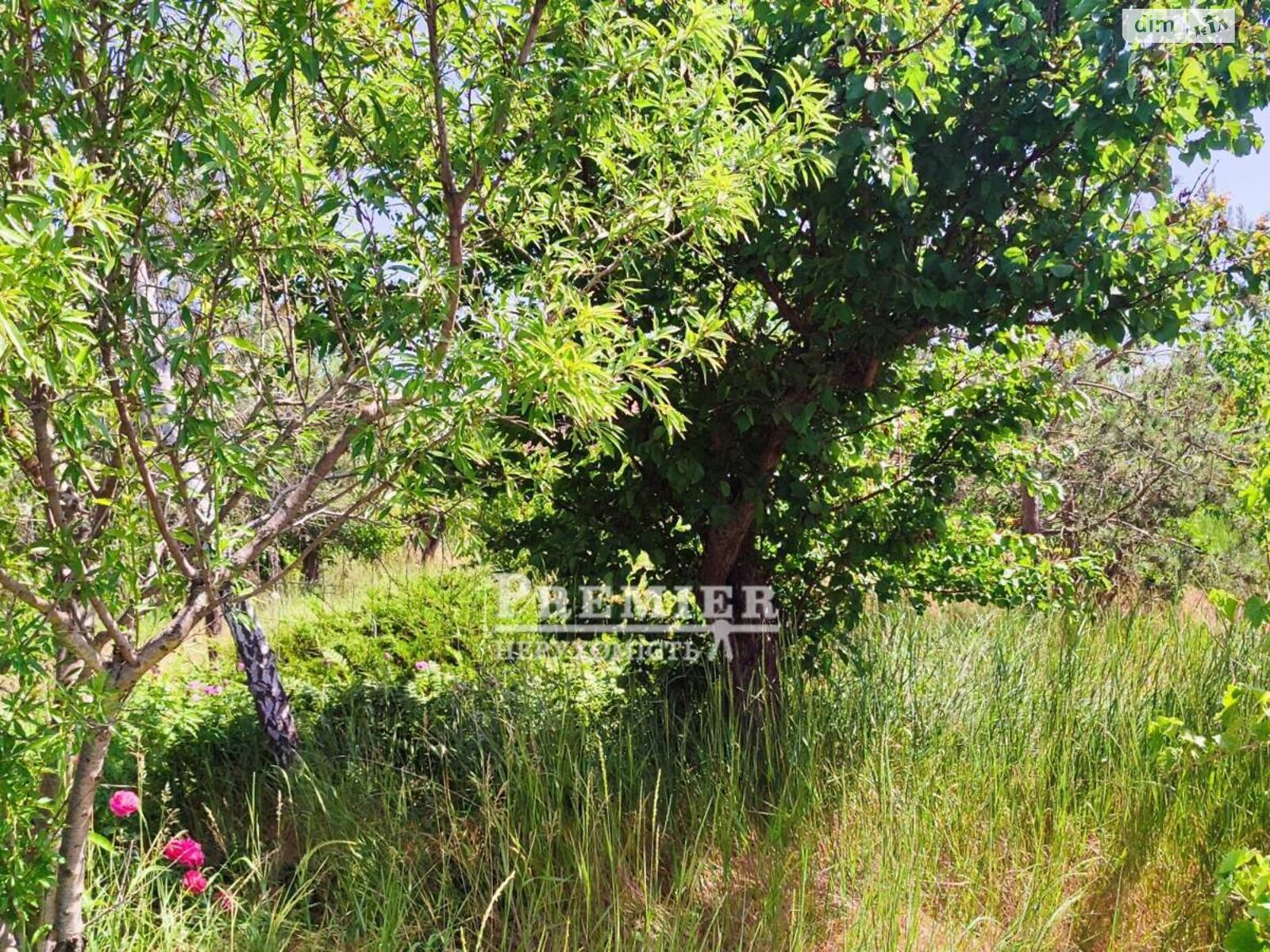 Земельна ділянка сільськогосподарського призначення в Великодолинському, площа 4 сотки фото 1 Земельна ділянка сільськогосподарського призначення в Великодолинському, площа 4 сотки фото 1