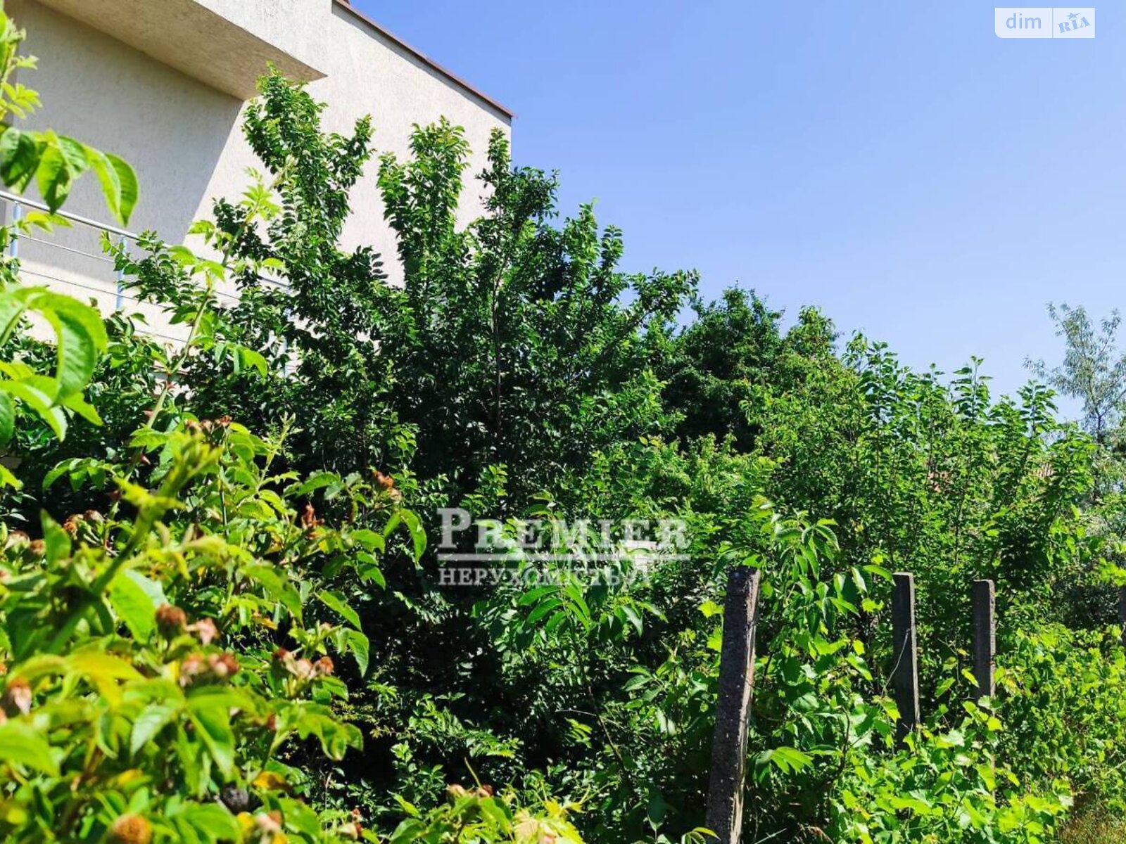 Земельна ділянка сільськогосподарського призначення в Великодолинському, площа 4 сотки фото 1 Земельна ділянка сільськогосподарського призначення в Великодолинському, площа 4 сотки фото 1