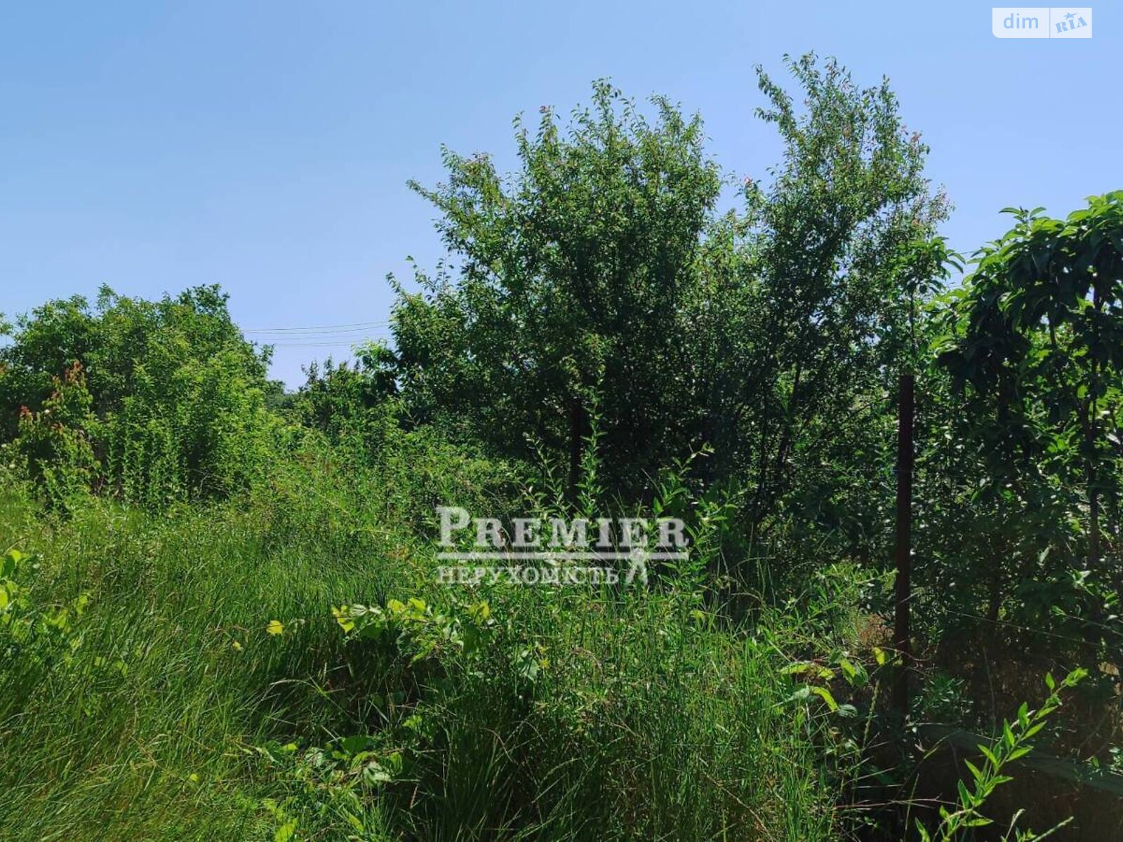 Земельна ділянка сільськогосподарського призначення в Великодолинському, площа 4 сотки фото 1 Земельна ділянка сільськогосподарського призначення в Великодолинському, площа 4 сотки фото 1