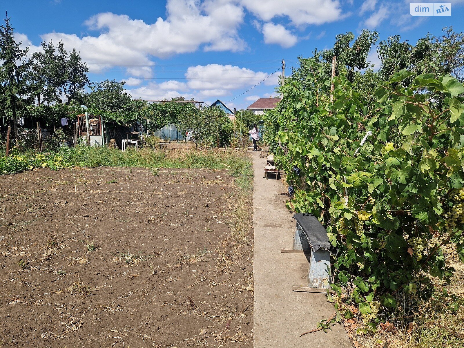 Земельный участок сельскохозяйственного назначения в Великодолинском, площадь 6 соток фото 1