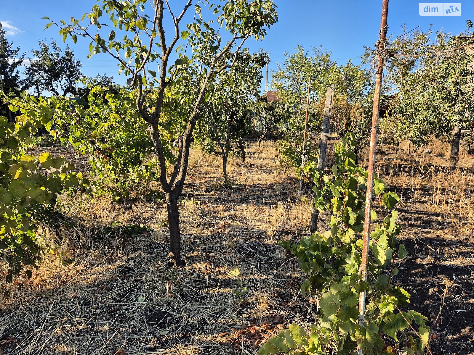 Земельный участок сельскохозяйственного назначения в Великодолинском, площадь 6 соток фото 1