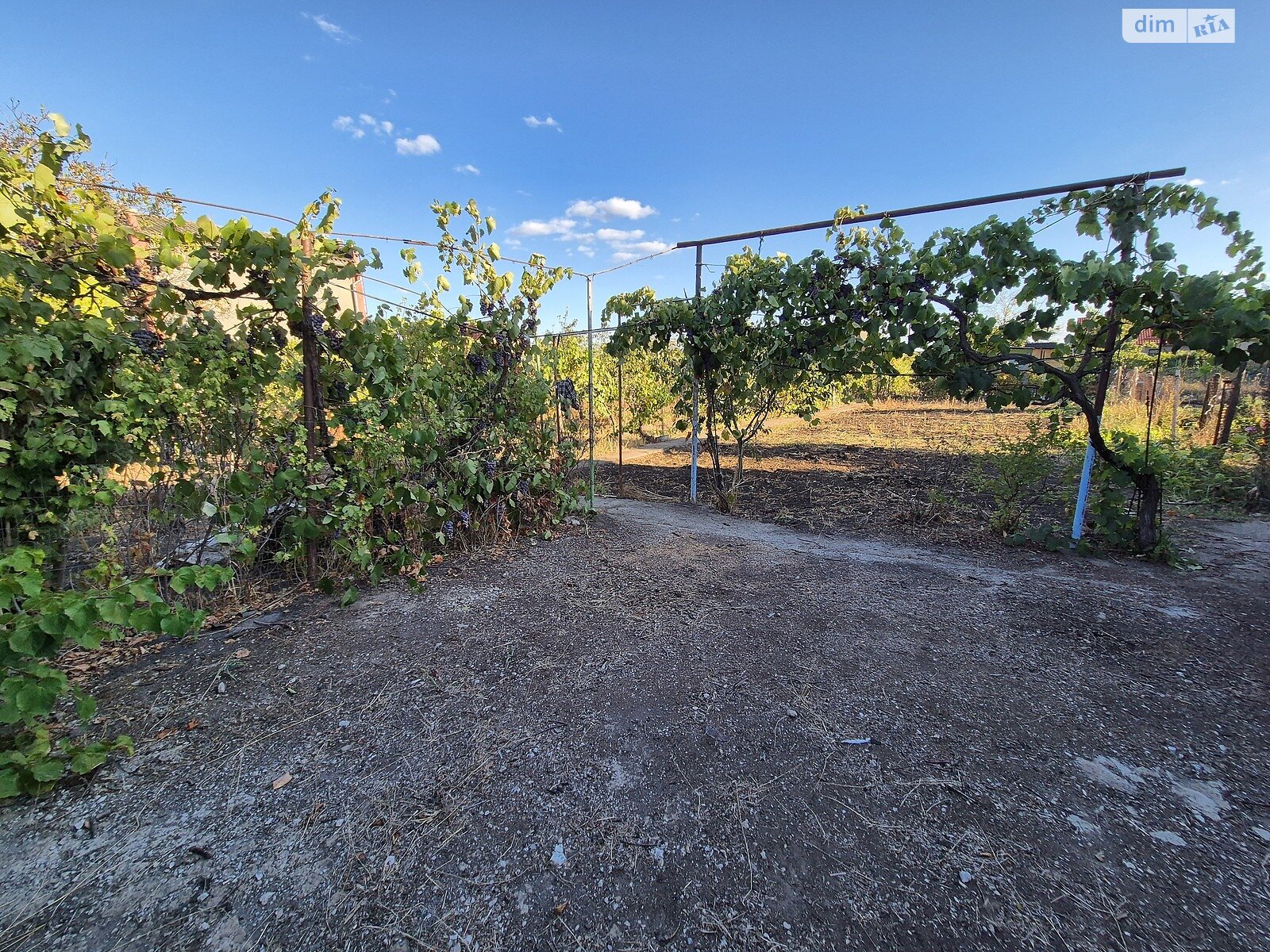 Земельный участок сельскохозяйственного назначения в Великодолинском, площадь 6 соток фото 1