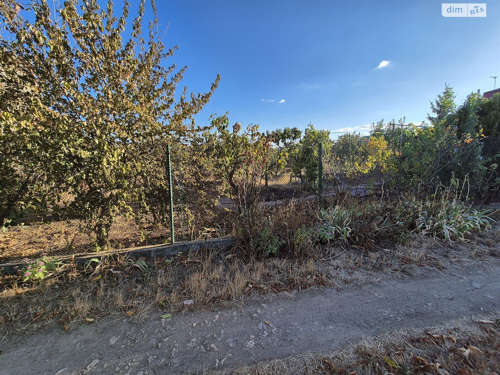 Земельный участок сельскохозяйственного назначения в Великодолинском, площадь 6 соток фото 1