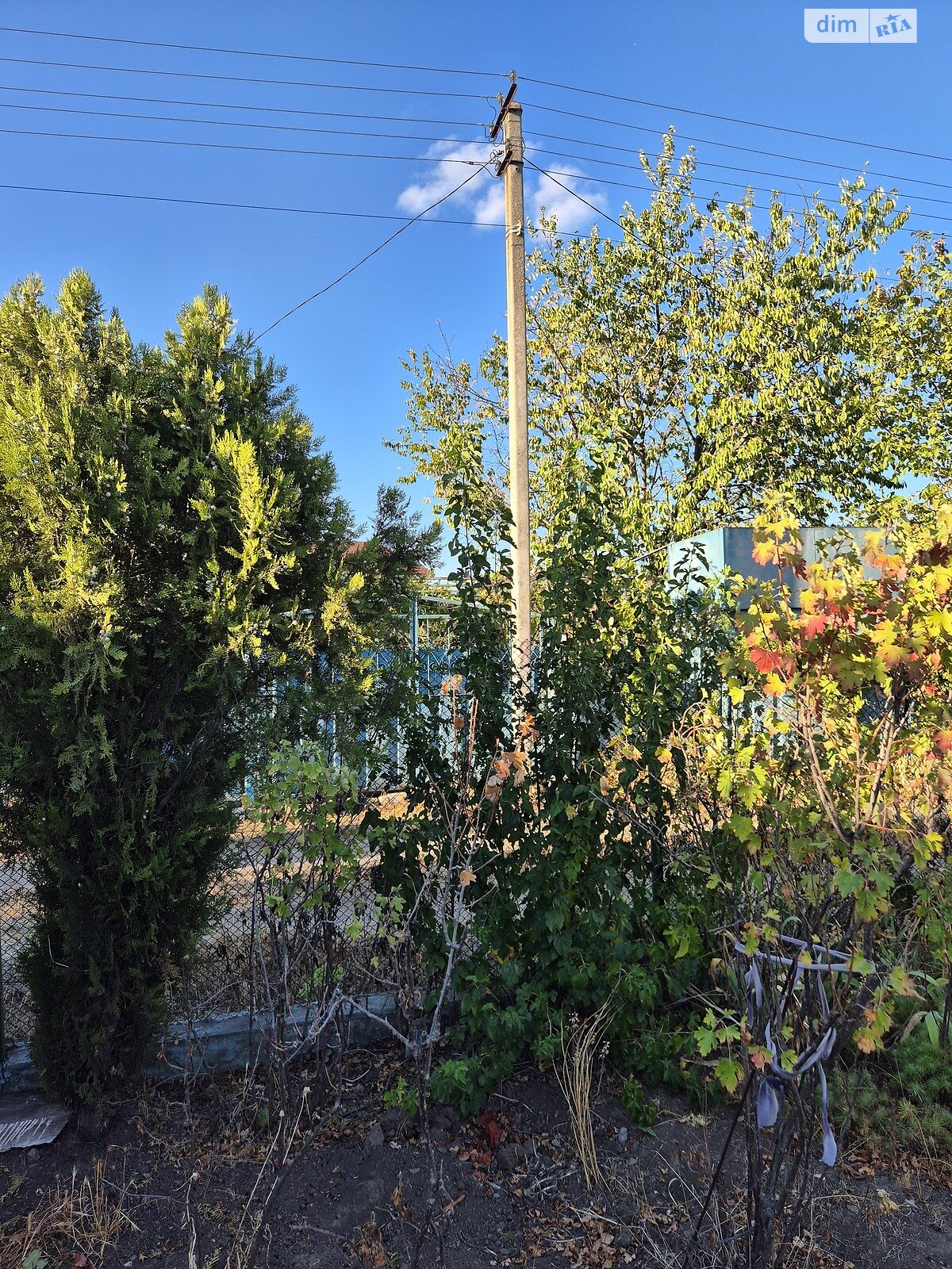 Земельный участок сельскохозяйственного назначения в Великодолинском, площадь 6 соток фото 1