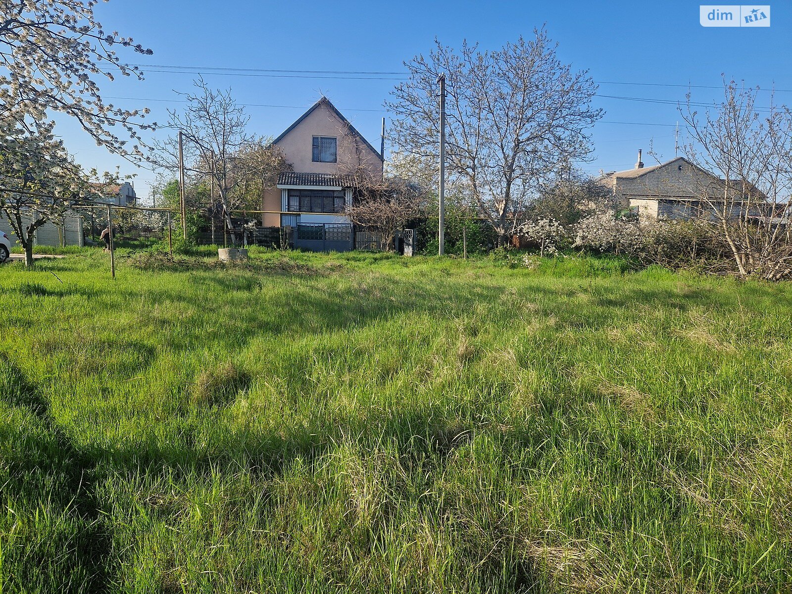 Земельный участок сельскохозяйственного назначения в Великодолинском, площадь 6 соток фото 1 Земельный участок сельскохозяйственного назначения в Великодолинском, площадь 6 соток фото 1