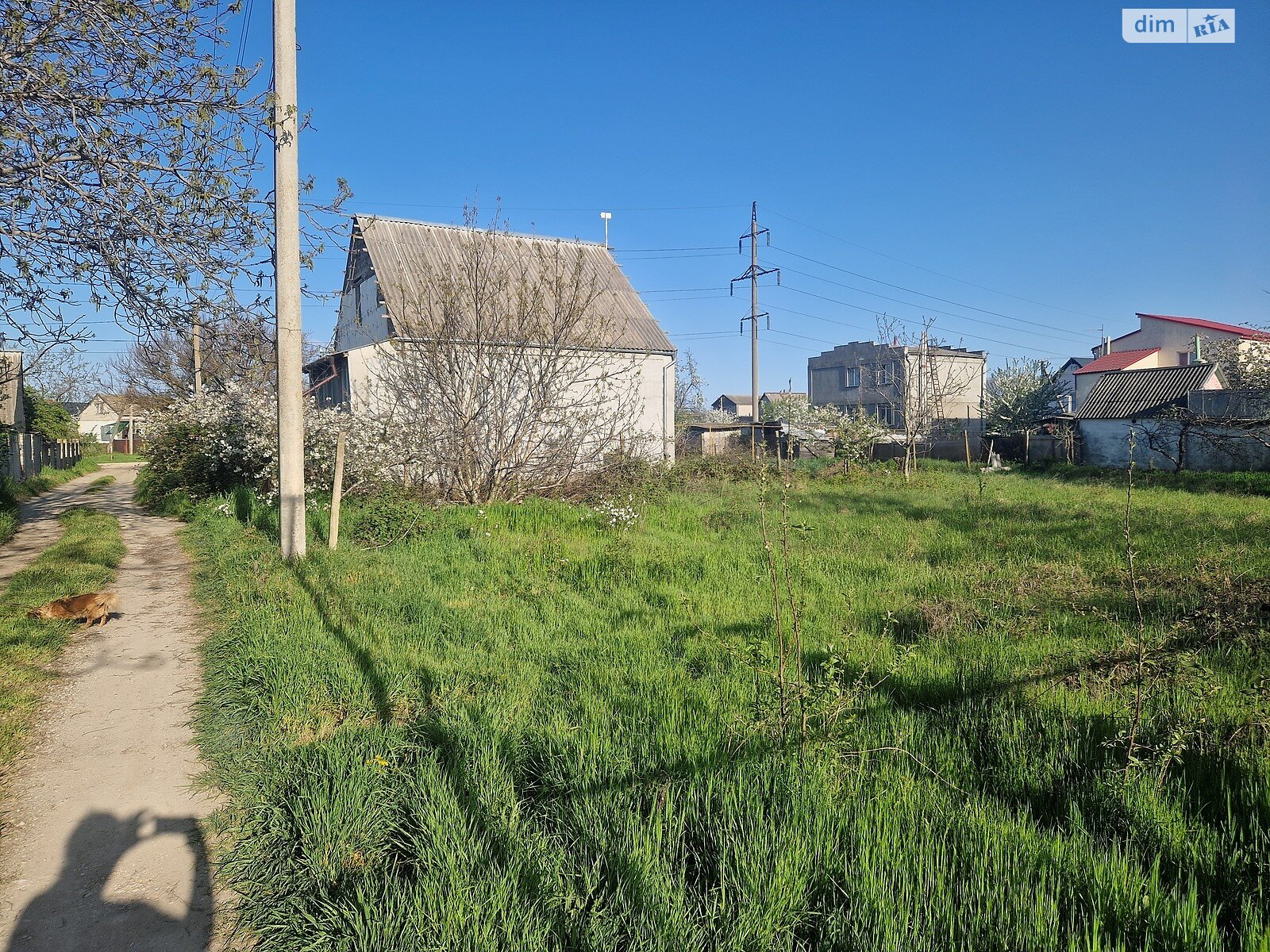 Земельный участок сельскохозяйственного назначения в Великодолинском, площадь 6 соток фото 1 Земельный участок сельскохозяйственного назначения в Великодолинском, площадь 6 соток фото 1