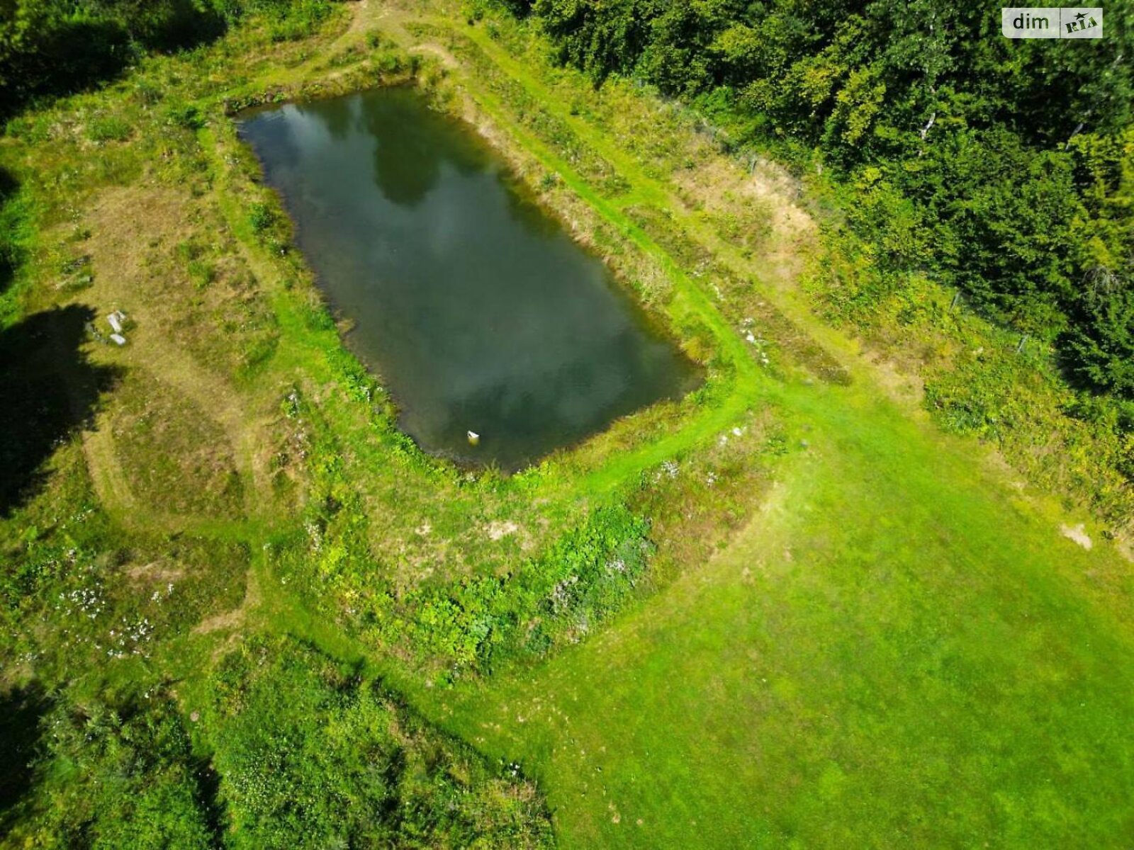 Земельный участок сельскохозяйственного назначения в Верхнем Синевидном, площадь 44.1 сотки фото 1