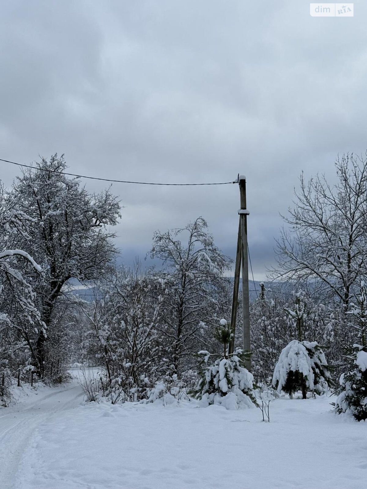 Земельный участок сельскохозяйственного назначения в Верхнем Синевидном, площадь 44.1 сотки фото 1