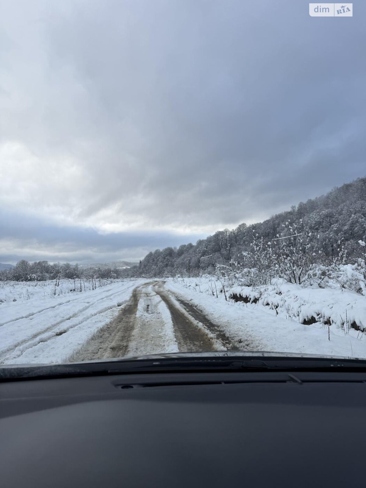 Земельна ділянка сільськогосподарського призначення в Верхньому Синьовидному, площа 44 сотки фото 1 Земельна ділянка сільськогосподарського призначення в Верхньому Синьовидному, площа 44 сотки фото 1